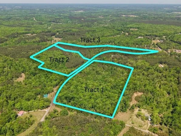 0 Ed Barham Rd Tract 1, Bethel Springs, TN 38315