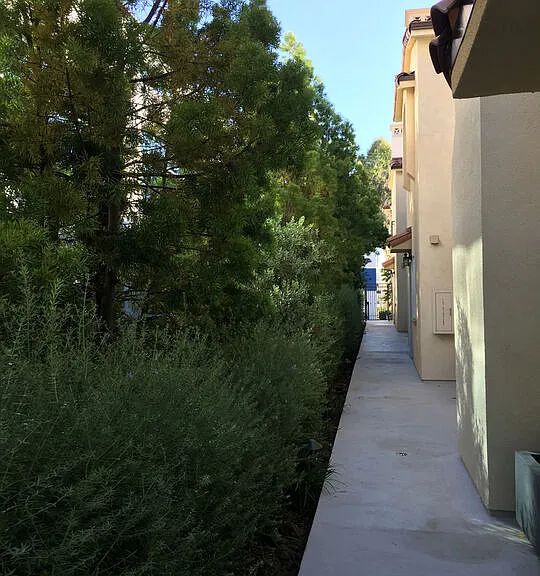 1171 Franklin St #104 — Photo 30