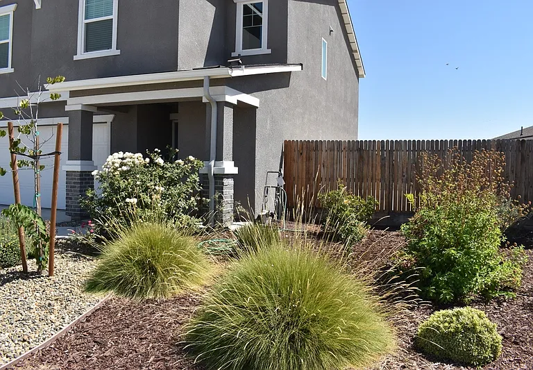 4554 Iris Ct — Photo 3