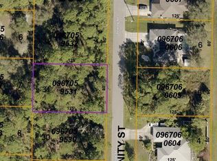 Trinity St LOT 31, North Pt, FL 34291
