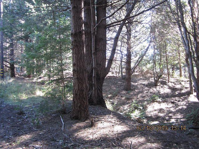 2nd image of 64 Mink Dr