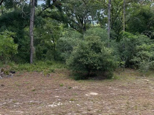 0 Madonna Dr, Webster, FL 33597