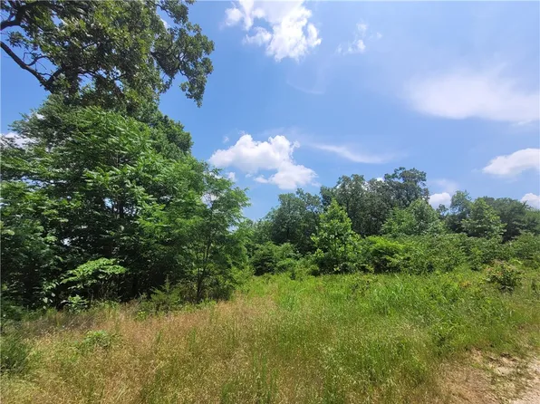 Shannon Rd, Canehill, AR 72717