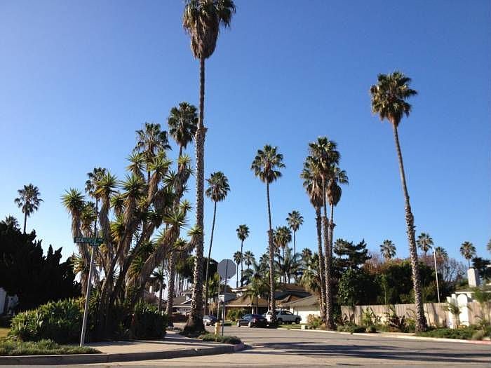 Seahorse Avenue