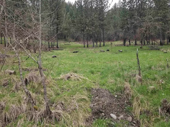 Pine St Lot 5, Peck, ID 83545