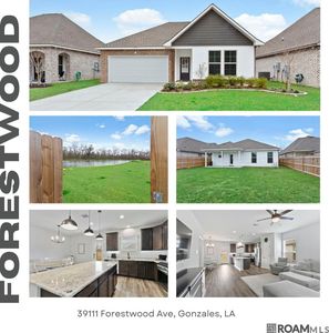 39111 Forestwood Ave, Gonzales, LA, 70737