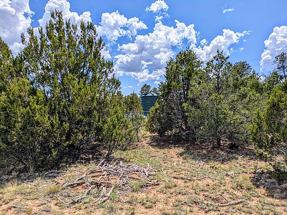 2nd image of 8384 Haven Crest Dr