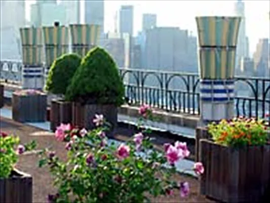 Sold by Corcoran | media 7
