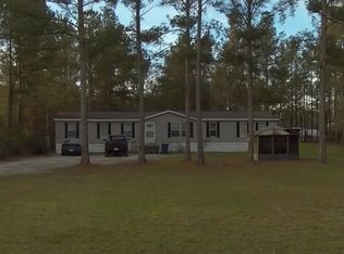 58 Moss Tree Rd, Hortense, GA 31543