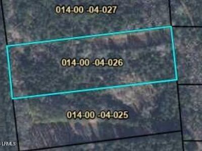 Tbd Cotton Hill Rd, Pineland, SC, 29934