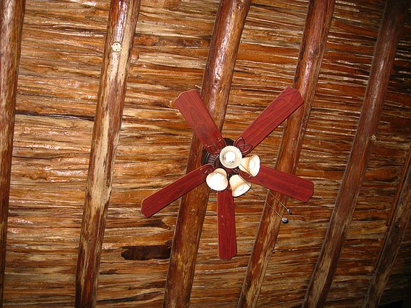 Saguaro rib ceiling in living room