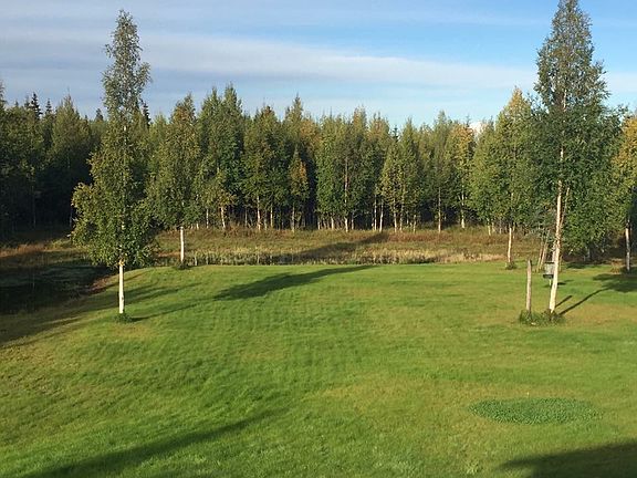 Back yard from deck