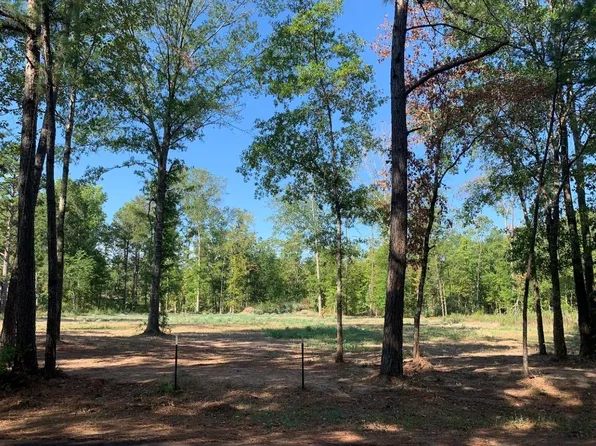 3 Waldrons Ferry Rd, Hallsville, TX 75650