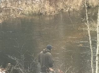 10271 S Black River Rd, Onaway, MI 49765