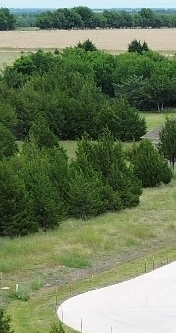 1st image of Evergreen Way