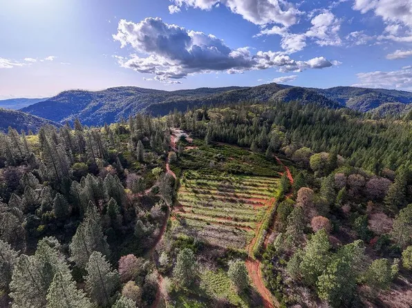 10571 Sebastopol Rd, North San Juan, CA 95960