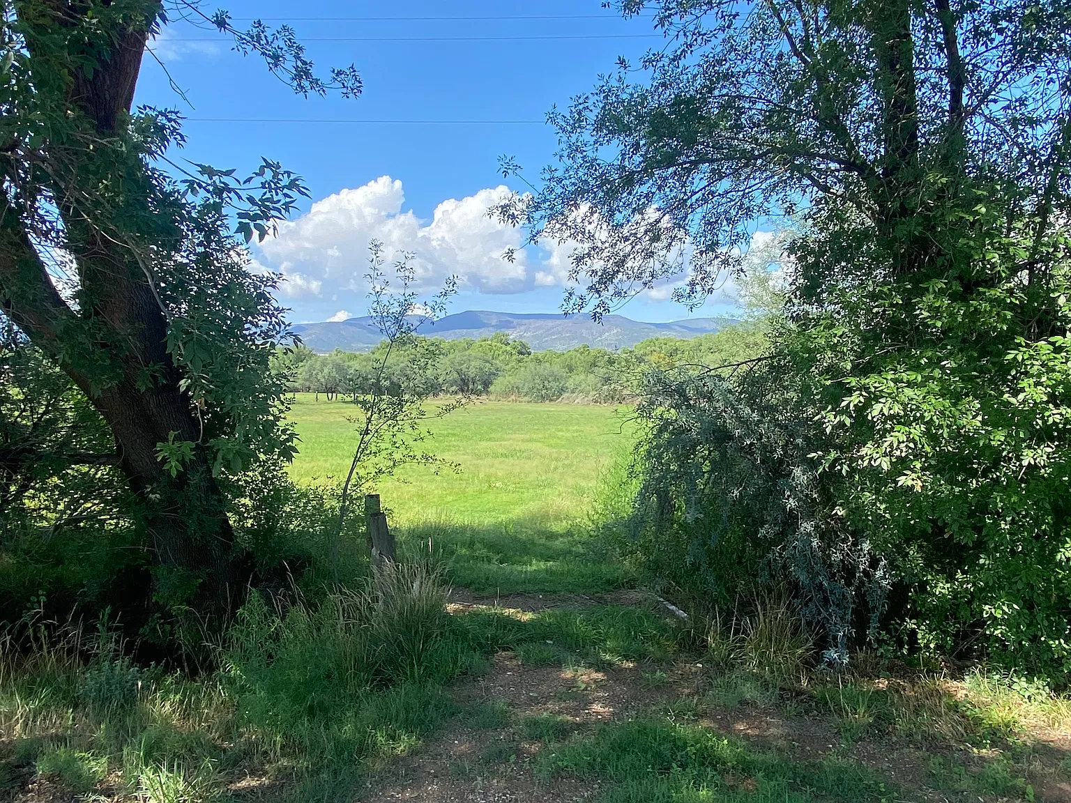 1 bed, 1076 sqft, $1,900 — Photo 3