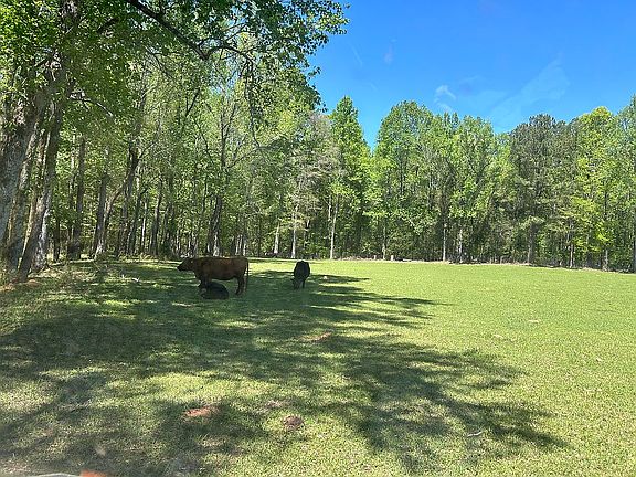 Back pasture