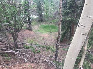 173 Wakanda Trl, Woodland Park, CO 80863