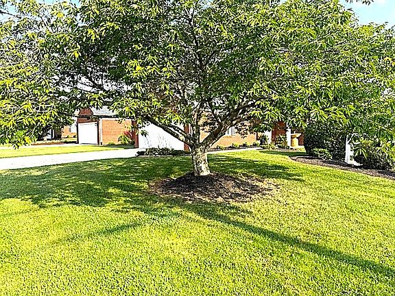 4th image of 102 Horseshoe Ct