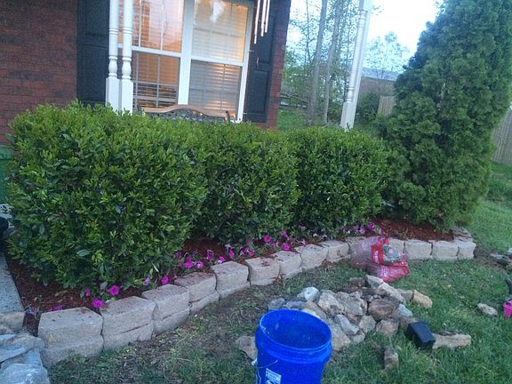Front Landscaping