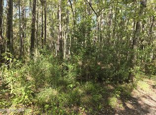 4122 BECKY Street, Middleburg, FL 32068