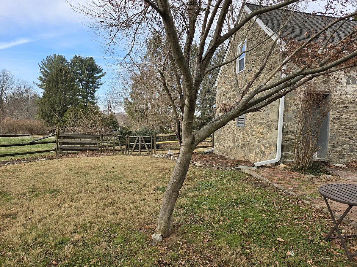 Side yard available for renter. - 3518 Angus Valley Trl #1