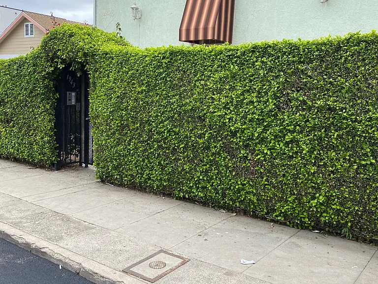 Vista Del Mar Ave — Photo 12