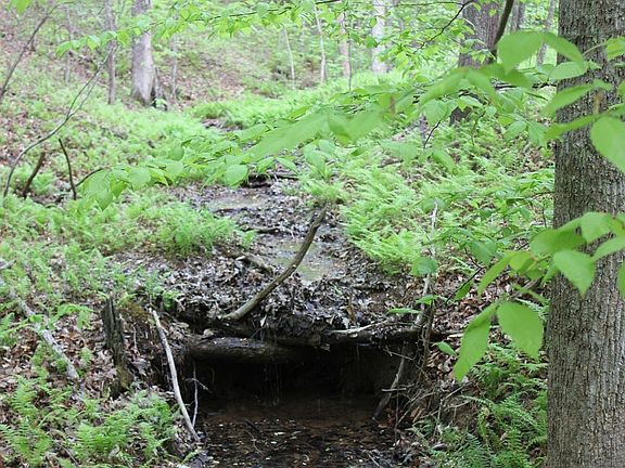 2nd image of 10 Woodstrail Dr