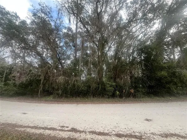 NE 110th Lot 1, Citra, FL 32113