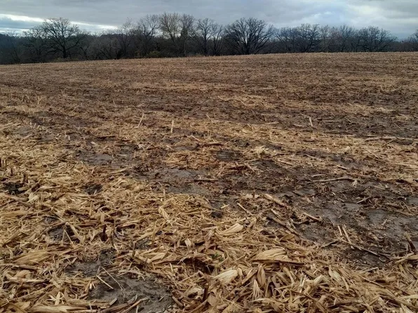 Major Ln, Platteville, WI 53818