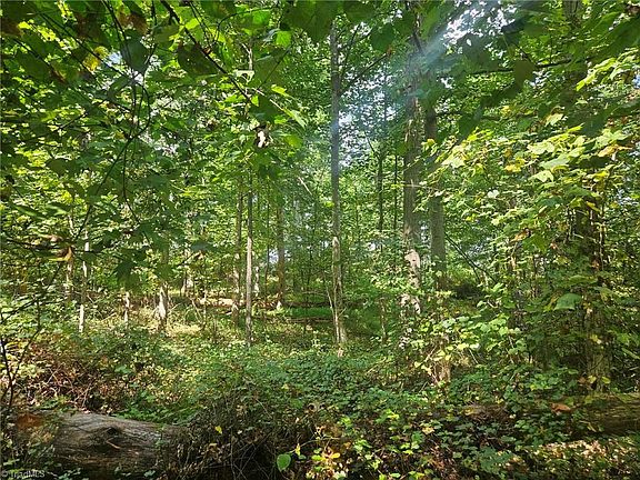 4th image of Luffman Rd