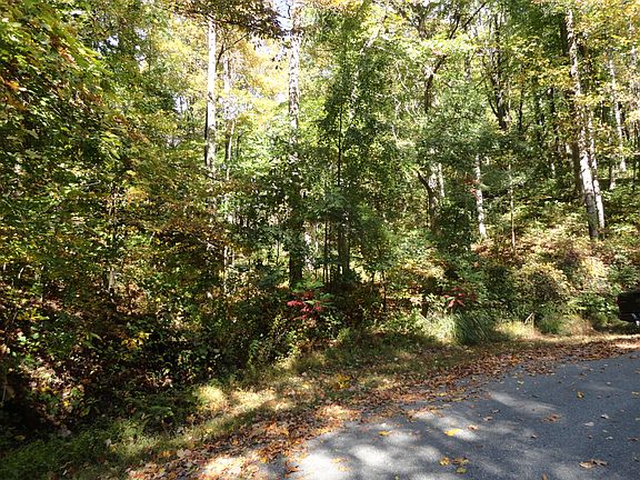 Road view