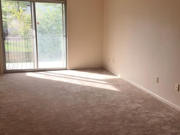 0005_321663662_large