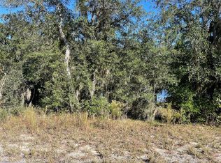 Lots 444 445 Sw Shorewood Dr LOT 444, Dunnellon, FL 34431