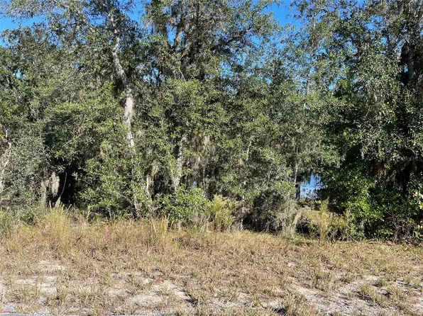 Lots 444 445 Sw Shorewood Dr Lot 444, Dunnellon, FL 34431