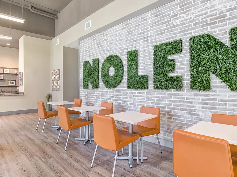 The Nolen Luxury Apartments — Photo 9