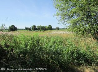 3185 Tomlinson Rd, Mason, MI 48854