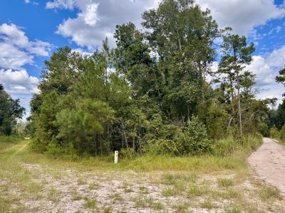 LOT 44 SW 32nd Ln, Jasper, FL, 32052