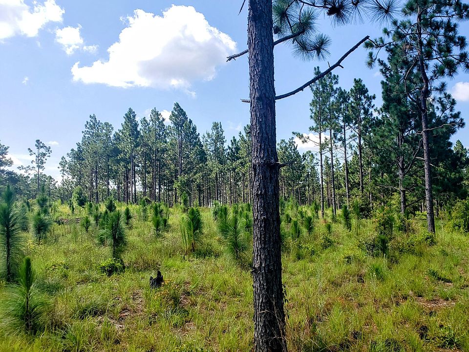 2nd image of 1714 Reservation Road