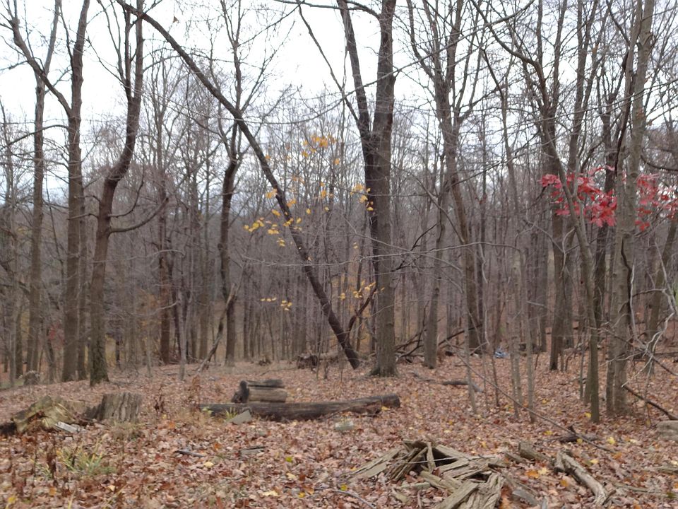 2nd image of 2681 Canyon Rd SE