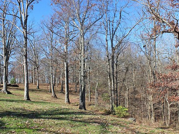 3rd image of 3021 Persimmon Knob