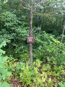 93 Garnet Rd, Sylva, NC, 28779