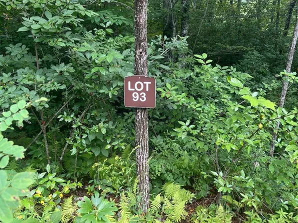 93 Garnet Rd, Sylva, NC 28779