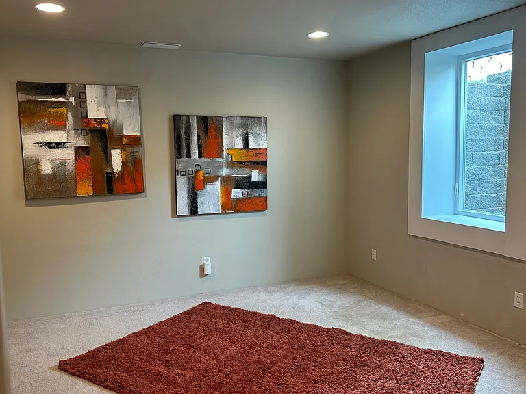 217 San Remo Ln #BASEMENT — Photo 12