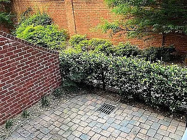 2 bed, 1600 sqft, $3,450 — Photo 4