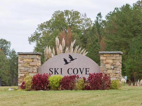 1 Goosepond Island Dr, Scottsboro, AL 35769