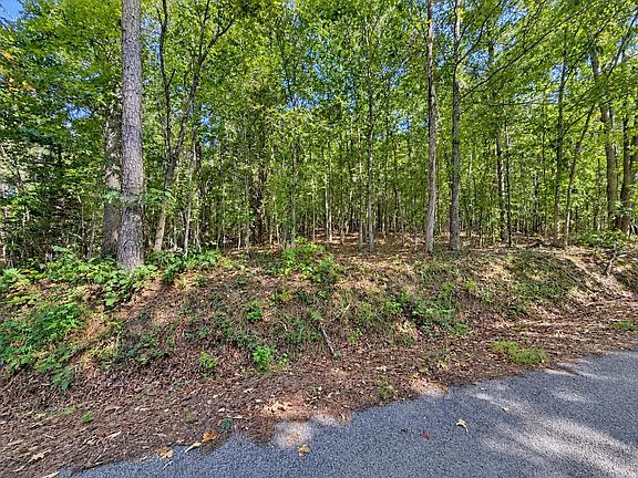 4th image of 105 County Road 83