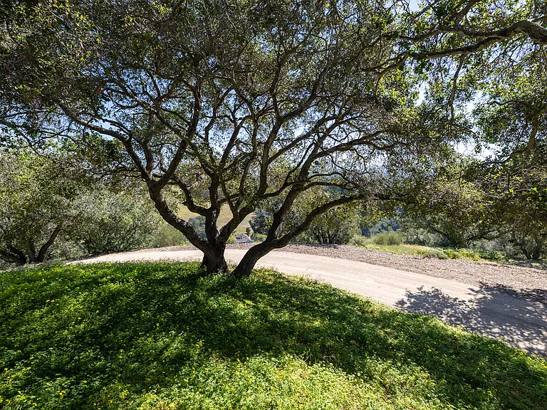 Oak Haven Ln — Photo 13