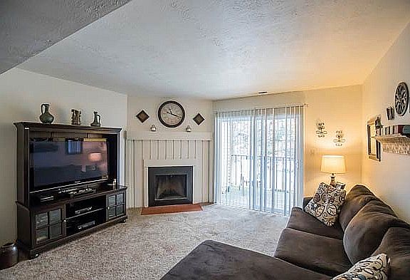 Living Area Fireplace